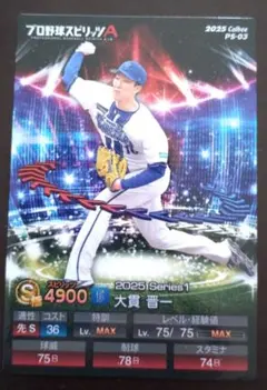 大貫晋一選手 2025年版 トレーディングカード カルビー ポテチ 野球選手