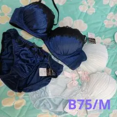 Item thumbnail for item 44f21d7e-8733-4a3c-b1eb-4d5ad8302cb0