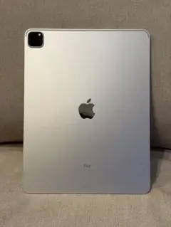 【極美品】Apple iPad Pro （M1）12.9インチ 第5世代 本体