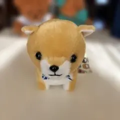 2026年最新】cnblue ぬいぐるみの人気アイテム - メルカリ