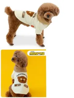 Item thumbnail for item 0caac641-199a-4e78-bed4-6a9e0d314fab