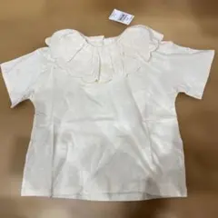 Item thumbnail for item 188c1587-4145-42a5-ab13-d4c6a3d99d62