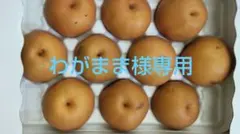 わがまま様専用です！