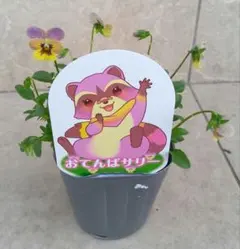 2025年最新】見元園芸の人気アイテム - メルカリ