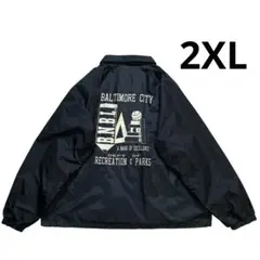 Item thumbnail for item 58eeea57-2ff9-4555-9e06-cfa70d373eba