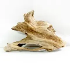 Item thumbnail for item d3578449-a758-4947-9460-2290638a879a