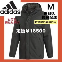 Item thumbnail for item cb8b2387-52d8-4e29-a216-3d44831b581e