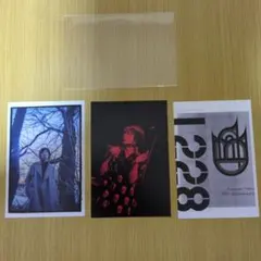 2026年最新】吉井和哉 未の人気アイテム - メルカリ