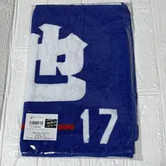 中日ドラゴンズ 選手名フェイスタオル #17 柳裕也