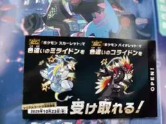 色違い　コライドン　ミライドン