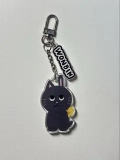 RIIZE ウォンビン うさにゃん キーホルダー - メルカリ