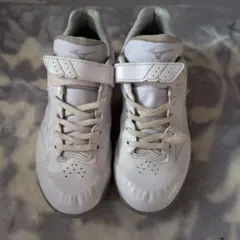 Item thumbnail for item bb68cd13-4440-4a99-8753-9c8efb003bdf