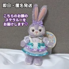 ステラルー ぬいぐるみバッチ ファインドユアビューティフルブルー ディズニーシー
