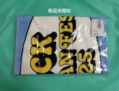 ROCK IN JAPAN ロッキン フェイスタオルPOP ブルー 2025