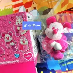 ミッキー　ぬいぐるみチャーム ディズニーパルパルーザ ミニーのファンダーランド