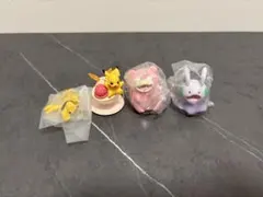ポケモン カプセルトイ 4体セット
