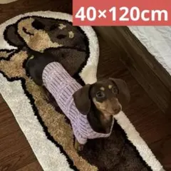 ラグ ミニチュアダックス フロアマット　チョコタン マット 犬 ダックスフンド