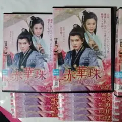 玉楼春〜君に詠むロマンス〜 DVD 全22巻完結セット 中国ドラマ - メルカリ