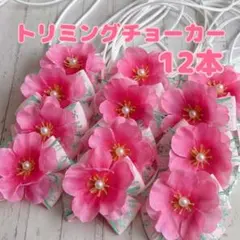 Item thumbnail for item df20277f-0727-48ca-b7f3-24ee10942d3a