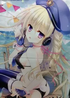 ★巨大★ B0 Wスエード タペストリー WNB 館川まこ