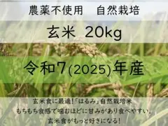 美味しい玄米20キロ】農薬・化学肥料不使用 はざ掛け天日干し
