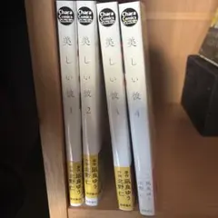 美しい彼　コミック