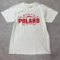 US古着☆企業TシャツGILDAN POLARS Football L