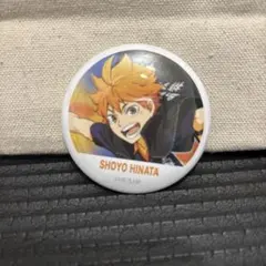 ハイキュー!! 缶バッジコレクション 日向翔陽