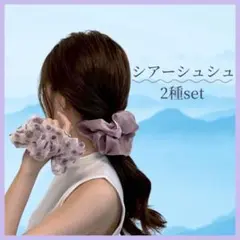 シュシュ シアー　ヘアゴム 韓国 くすみカラー　ヘアアクセサリー　2個セット　春
