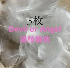 ♡オーダーページ♡ちびぬい　Devil or Angel 衣装 オーダーページ】Devil or Angel ちびぬい衣装 ぬい服 みちきょ