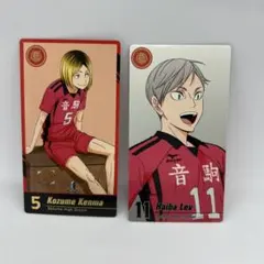 劇場版ハイキュー展　ゴミ捨て場の決戦　チケット風カード　孤爪研磨　灰原リエーフ