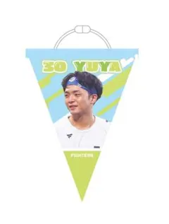 Item thumbnail for item 025354b4-5ca6-4df1-87c6-8fca5cce10c4