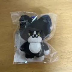 2025年最新】イェソン ぬいぐるみの人気アイテム - メルカリ