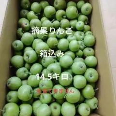 摘果りんご箱込み14.5キロのサムネイル