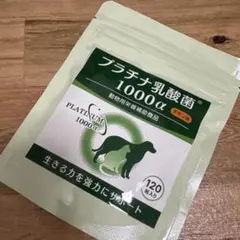 Item thumbnail for item 75835b74-7a64-4cd7-877b-ddb580638625