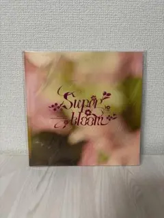 あんスタ スタフォニ 別冊パンフレット