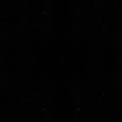 にゃんこ様専用出品