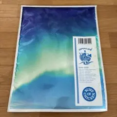 BUMP OF CHICKEN aurora ark ツアーグッズ 2019