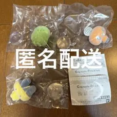 たまごっち　カプセル　フロッキーズ　まめっち　みみっち　めめっち　3体セット売り