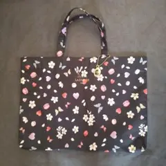 Item thumbnail for item 013fd47c-b27c-4de1-9d4a-01afa5cc2a0c