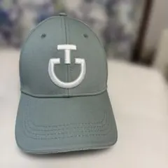 Item thumbnail for item 56511a9f-5235-4697-b432-5d591aa00a76