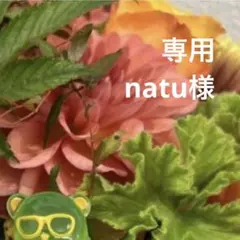 専用ページ natu様