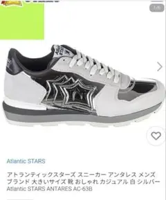 Atlantic Stars スニーカー グレー/シルバー