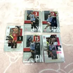 女子バレー日本代表カード