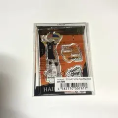 ハイキュー　アクリルスタンドコレクションPlus Vol.2 日向翔陽