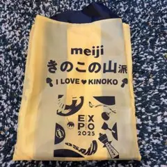 Item thumbnail for item ac6a0d62-8209-460e-8212-ce839270191a