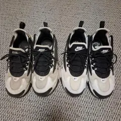 Item thumbnail for item 1426798e-11e6-4879-9b35-afbaafabb5d0