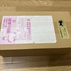 【新品未開封】ポケモンセンター フクオカスペシャルBOX