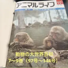 2026年最新】世界動物百科の人気アイテム - メルカリ