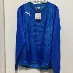 Item thumbnail for item cb2bff72-f5c9-489c-a883-e268b4866f80